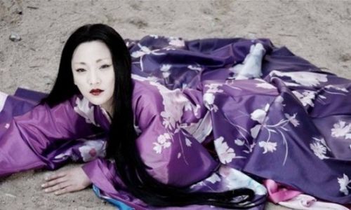 白面狐狸.jpg